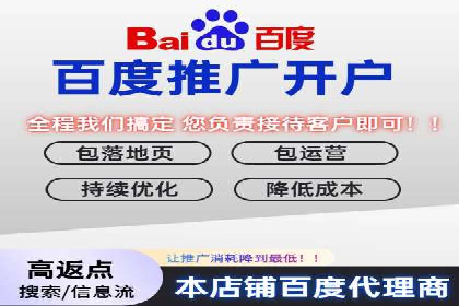 百度竞价代运营公司成功案例解析